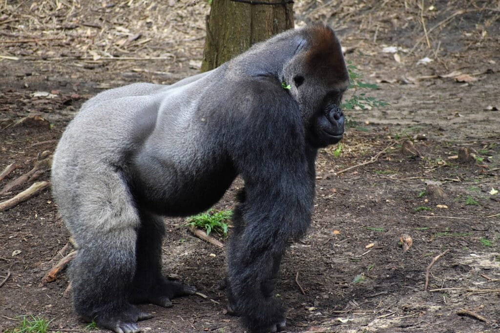 Tabldot Yemek Fiyatları 2025'te Ne Olacak?